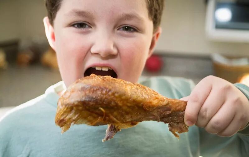 火焰龟能长多大_火焰龟多大才会下蛋_火焰龟多大可以发色