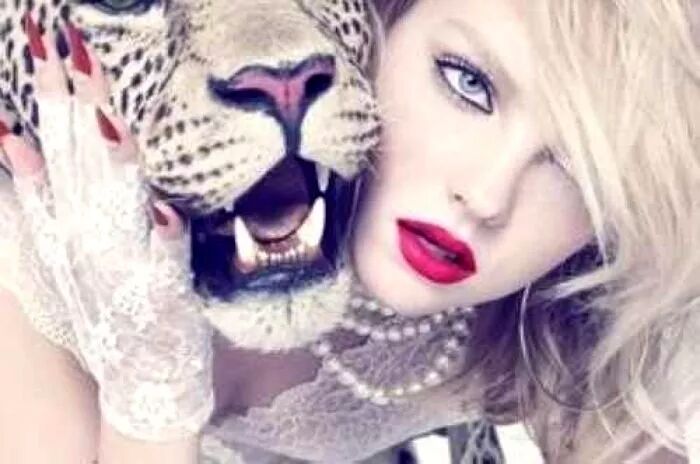 火焰龟多大可以发色_火焰龟能长多大_火焰龟多大才会下蛋