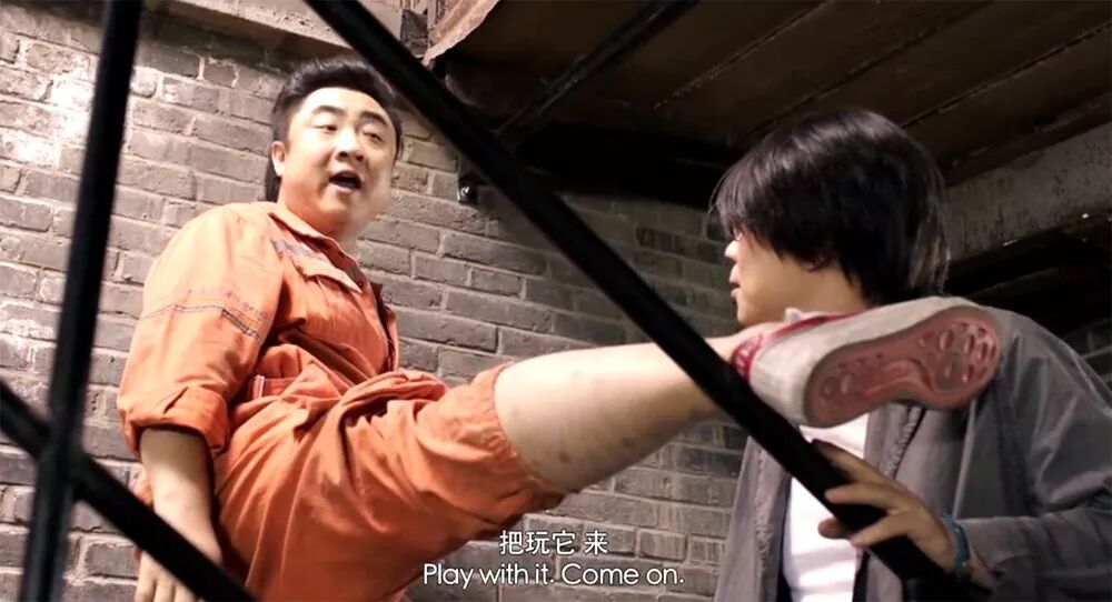 火焰龟多大才会下蛋_火焰龟多大可以发色_火焰龟能长多大