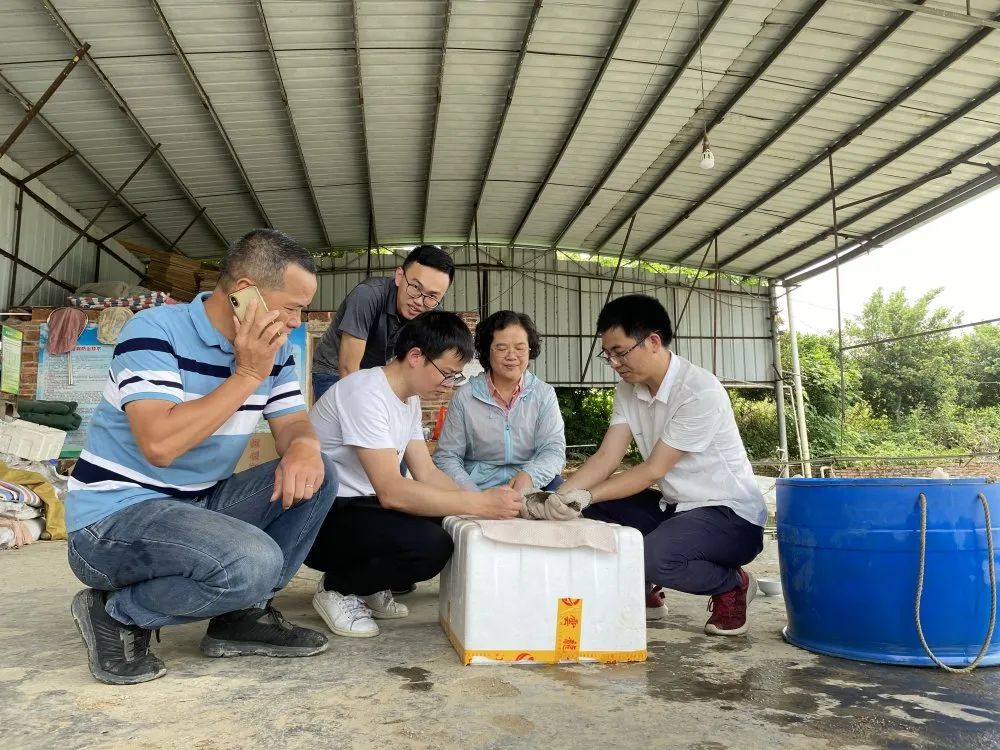 致富经栏目_致富栏目养石蹦_致富栏目在哪个电视台