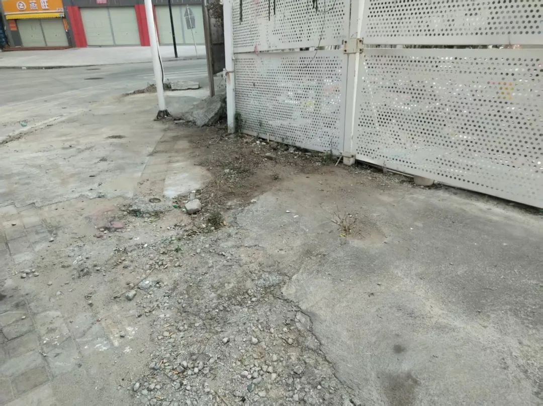 社区人居环境简报