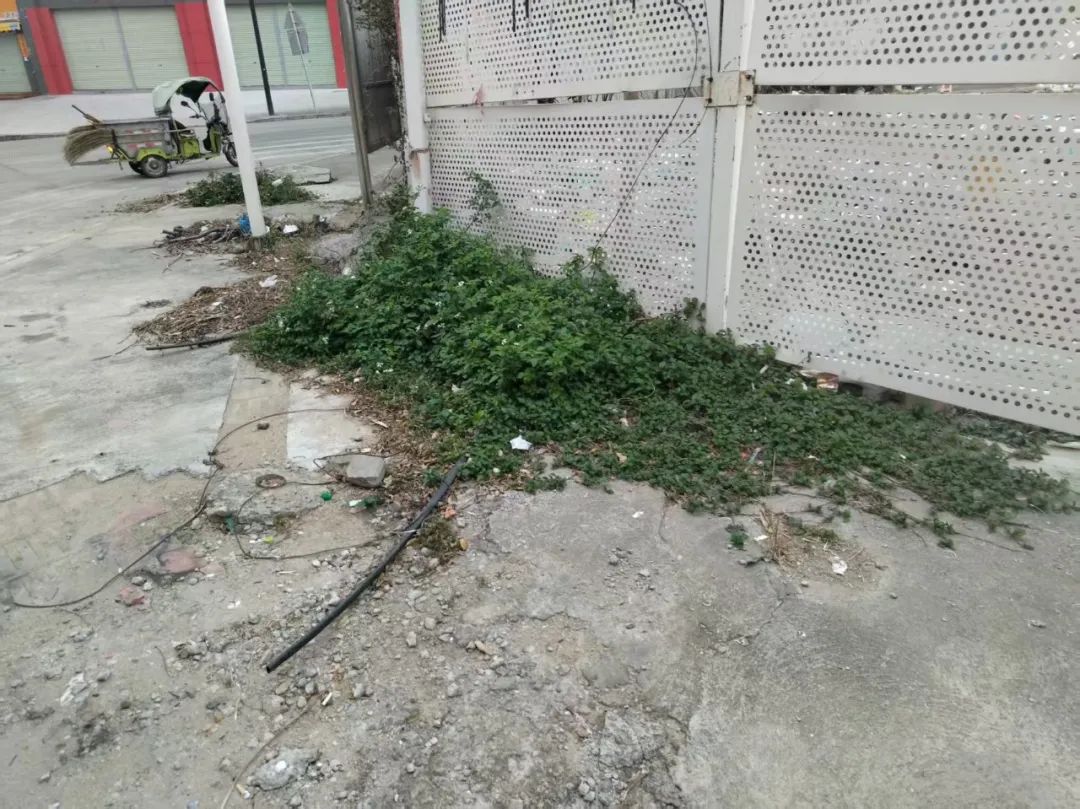 社区人居环境简报