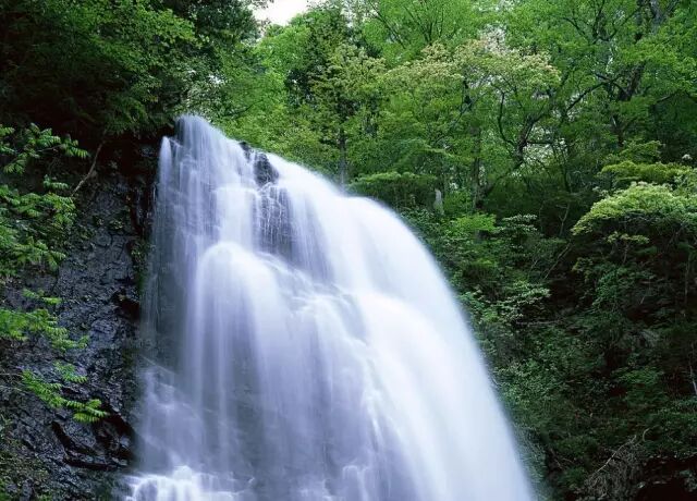 中国32种风水吉祥物大全。值得一看！