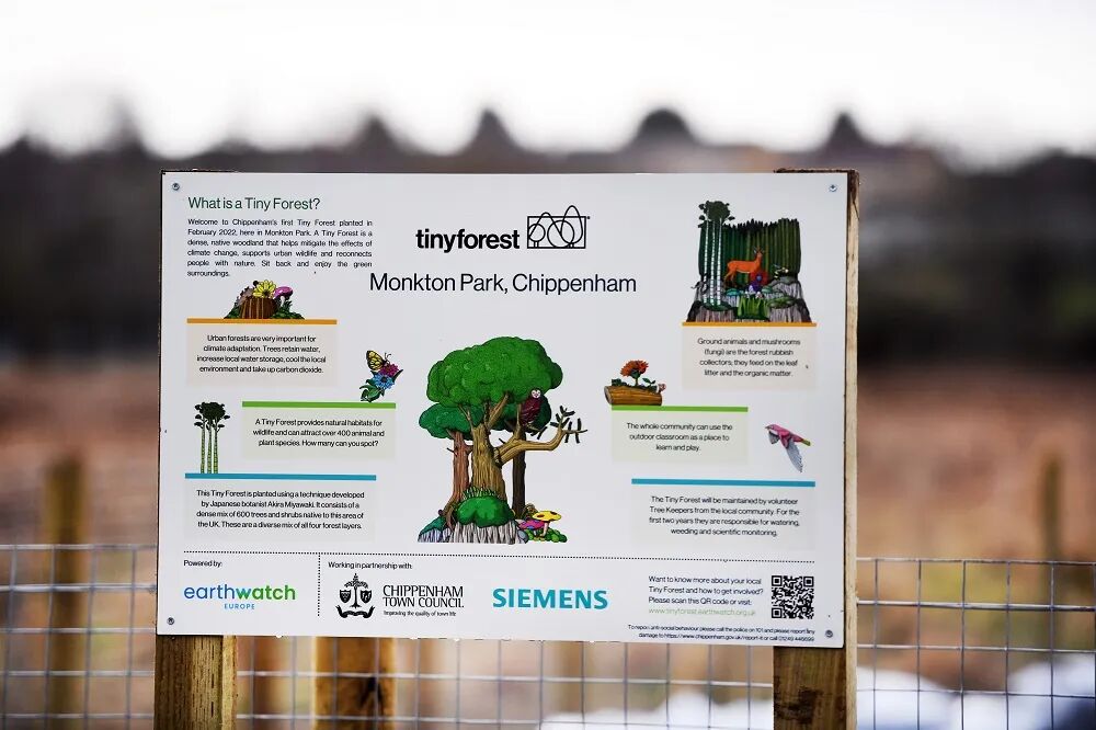 Tiny Forest Monitoring Report • Chippenham Town Council