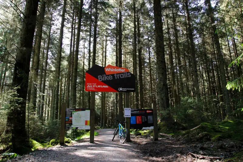 Whinlatter Forest and The Altura Trail MTB Guide - Wild Blighty