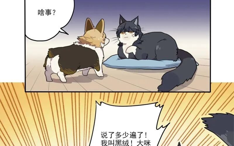 猫男子与犬男子漫画免费阅读 猫男子与犬男子漫画最新话 起司漫画