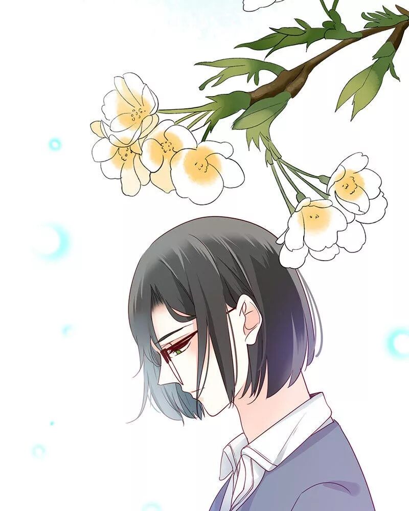 侍与飞鸟漫画在线观看 侍与飞鸟漫画 布谷漫画