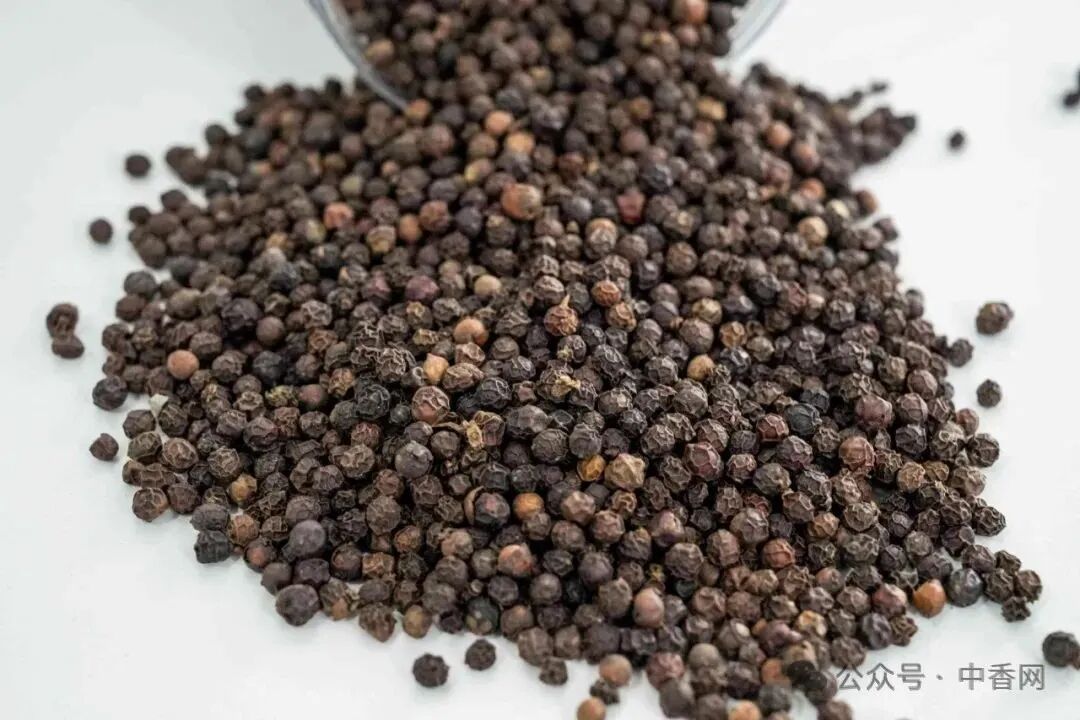 【周度胡椒市场】圣诞淡季不淡！