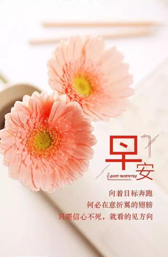 励志向上 | 做自己的太阳，无需凭借谁的光，华莱我决定我做主