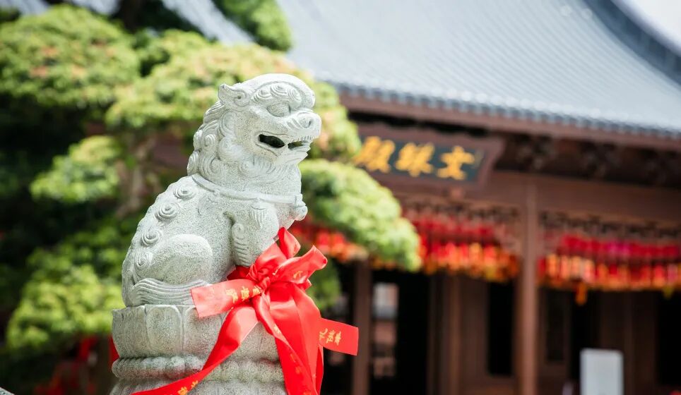 招生 | 玉佛禅寺觉群学院2021“青年居士班”招生啦！