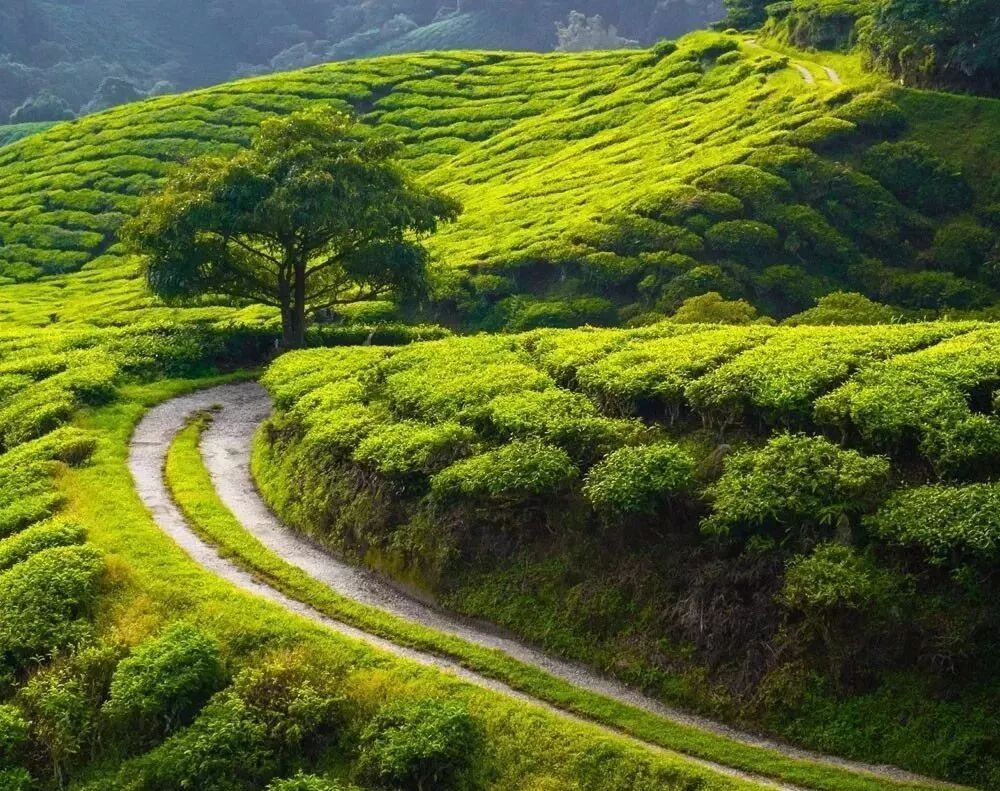 13ίõؿ5%ĻĵسɿĿѡ