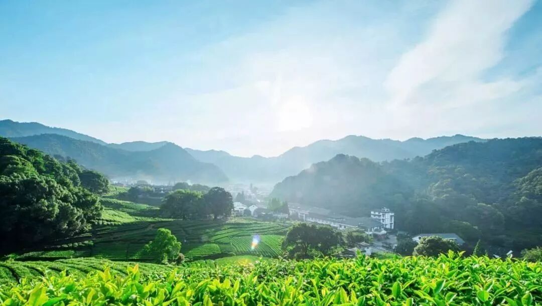 13ίõؿ5%ĻĵسɿĿѡ