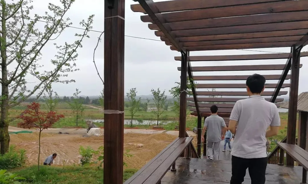 乡村振兴局成立大半年了!乡村振兴的重大突破领域在这里