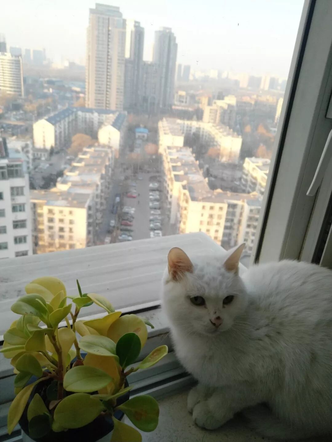 image-2