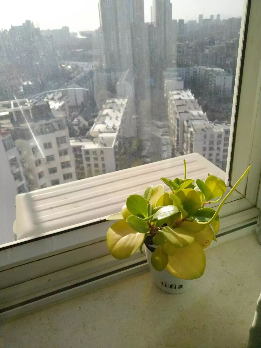 image-1