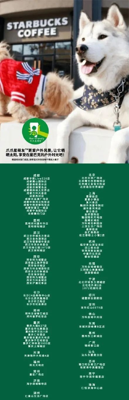 上海宠物店洗猫多少钱_上海宠物猫专卖店_宠物店给猫配种吗？