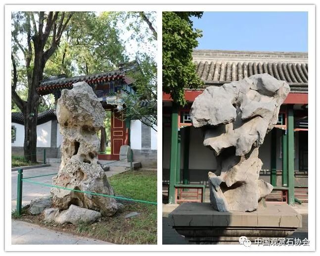 赏石望明月，天涯共此时