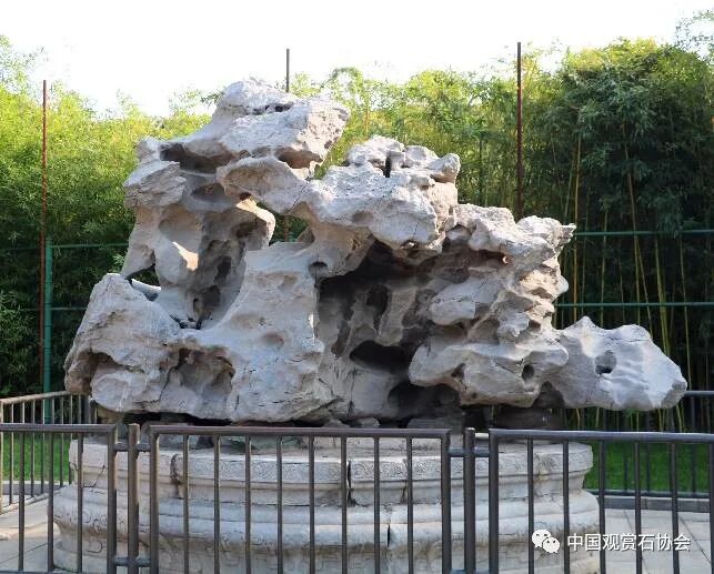 赏石望明月，天涯共此时