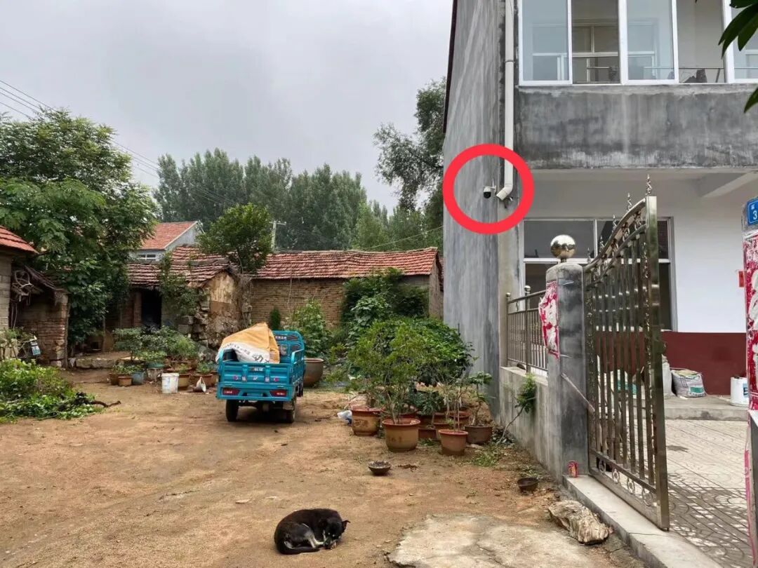 剥洋葱people 自由微信 Freewechat