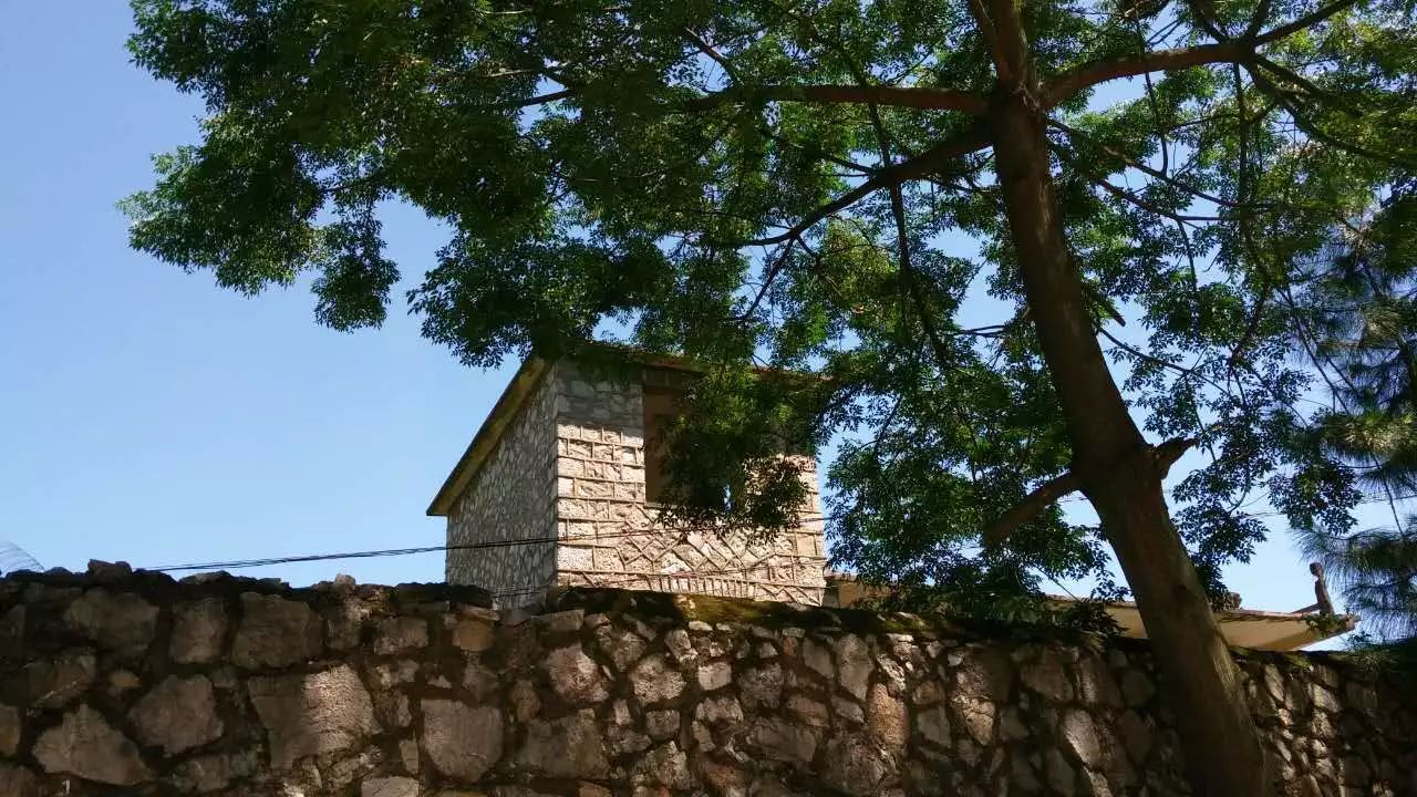 发现好风景!瑞昌肇陈镇大禾塘村不一样的美