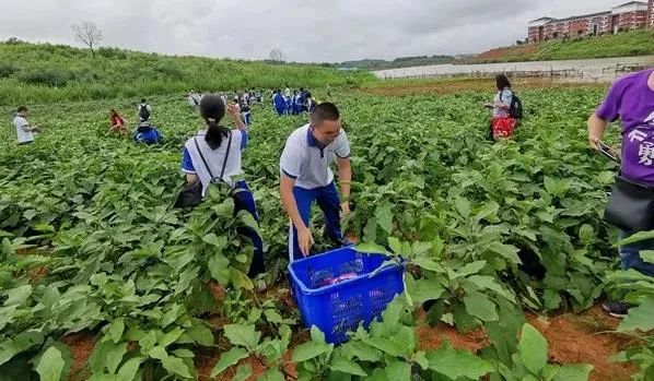 湖南文理學院教務系統官網入口_湖南文理學院教務系統_湖南文理學院教務系統官網