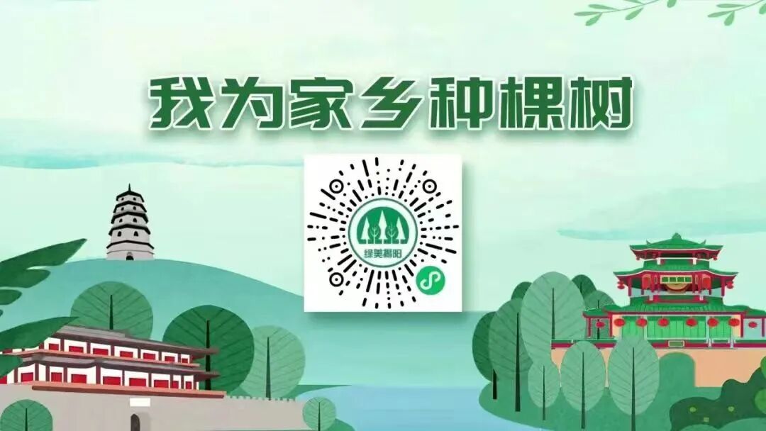 玉石刮痧面板怎么用【中医护理】玉石刮痧:玉板轻推焕启肌肤之美_新闻资讯_第15张_活检穿刺产品网 玉石刮痧面板怎么用【中医护理】玉石刮痧:玉板轻推焕启肌肤之美_https://www.jmylbn.com_新闻资讯_第15张
