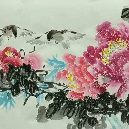 图片