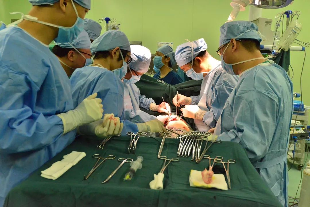 【點讚哈醫人】黑龍江省首例非體外循環下DBD序貫雙肺移植手術在我校二院完成 遊戲 第6張