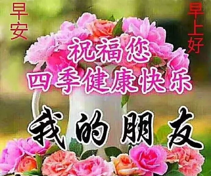 9月19日最漂亮早上好图片动态表情群里大家早上好图片祝福语 早上好正能量问候语 微信公众号文章阅读 Wemp