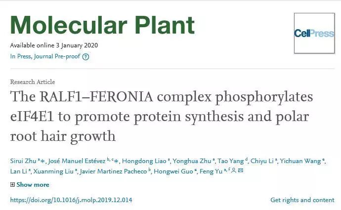 Mp 湖南大学于峰组揭示ralf1小肽调节根毛细胞极性生长的机制 Iplants 微信公众号文章阅读 Wemp