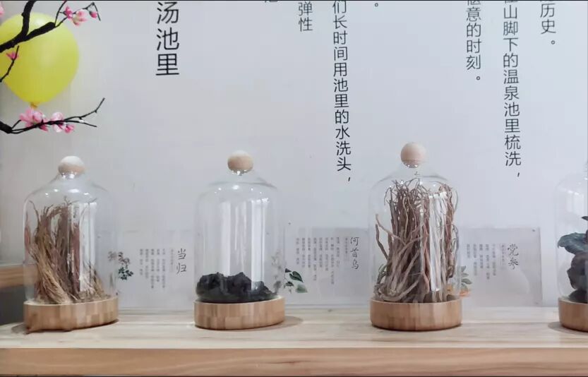 当初毅然跟着头道汤走的第一批合伙人，现在都怎么样了？