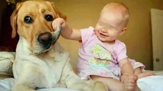 笑话：可能交了个假闺蜜……