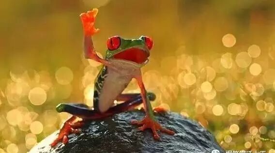 笑话：当我挥手向对方打招呼对方没看见时，我会……