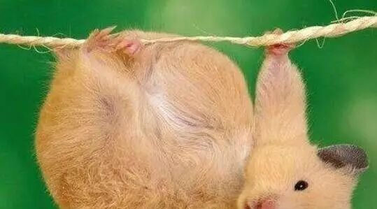 笑话：女孩的回答笑死我了！