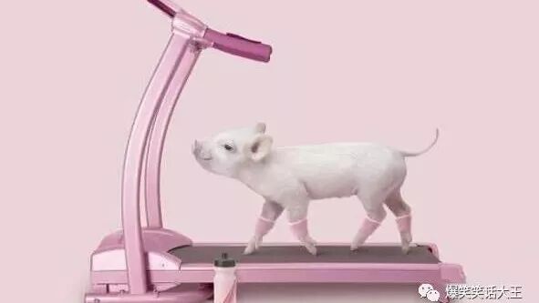 笑话：黄昏的时候，我在路上慢跑，结果遇到……