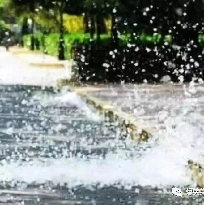 笑话：北方又到了漫天飞絮飞沙尘的季节，出门骑车我就在想……