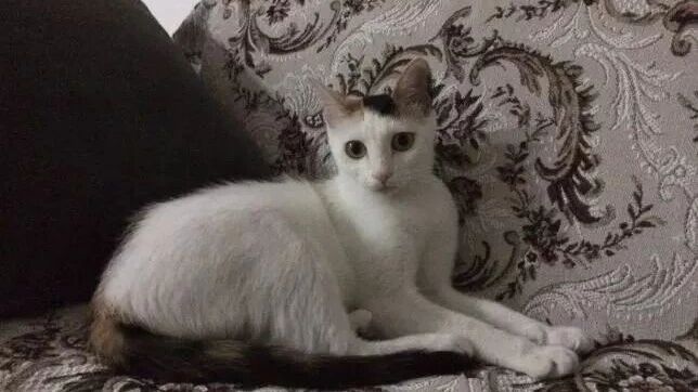 笑话：我们熟不熟看是什么状态就好了……