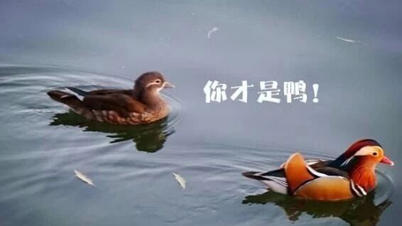 笑话：组队中队友的一个大问题·····