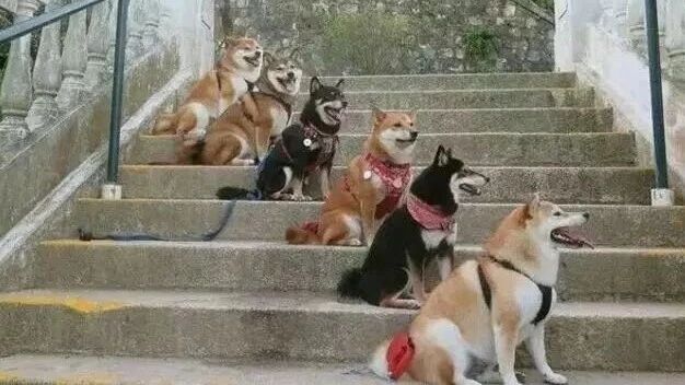 笑话：真希望美好的事情都能像长胖一样简单！