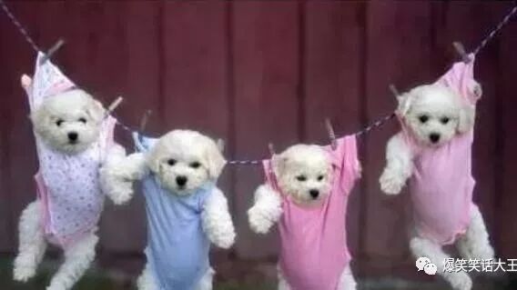 笑话：怎么才能开心？