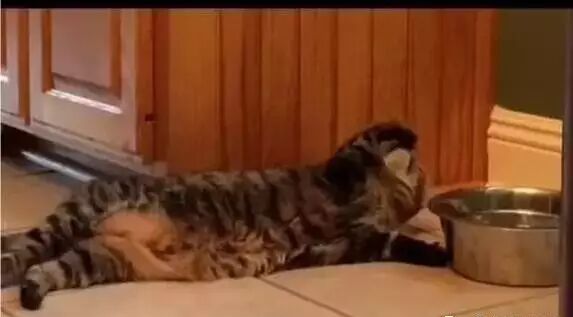 笑话：为什么岁数越大枕头越枕越高？