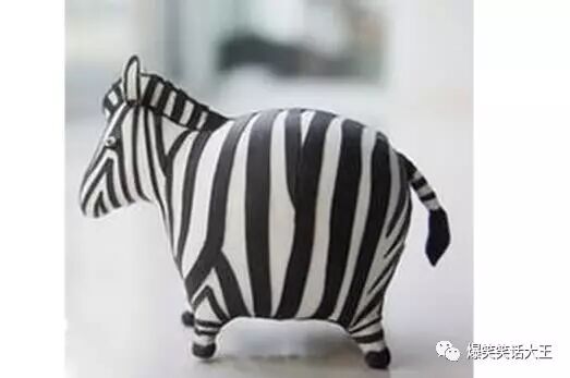 笑话：母斑马瘫痪在床，公斑马悉心照料……