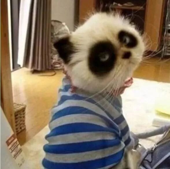 爆笑笑话：有男（女）朋友陪着的才叫跨年 …… 单身的这种叫……