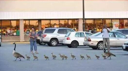 笑话：这样的老婆你假装不认识吧……