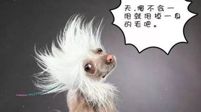 笑话：当一个人没有好看的皮囊时，便误以为……