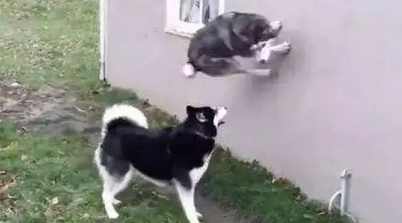 笑话：有人说，发现喜欢的人正好也喜欢自己 比中一千万彩票还开心 ?