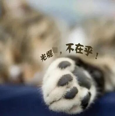 笑话：单身的都是特立独行的……