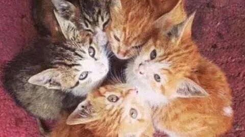 笑话：今天突然有人问我：你照片上长这么好看，你家里人知道吗？