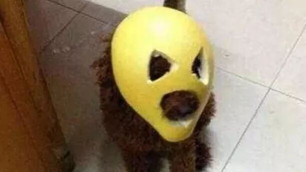 笑话：遇到选择题，很多人很难选……