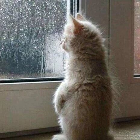 笑话：年轻时一定要培养一个爱好，要不等到……